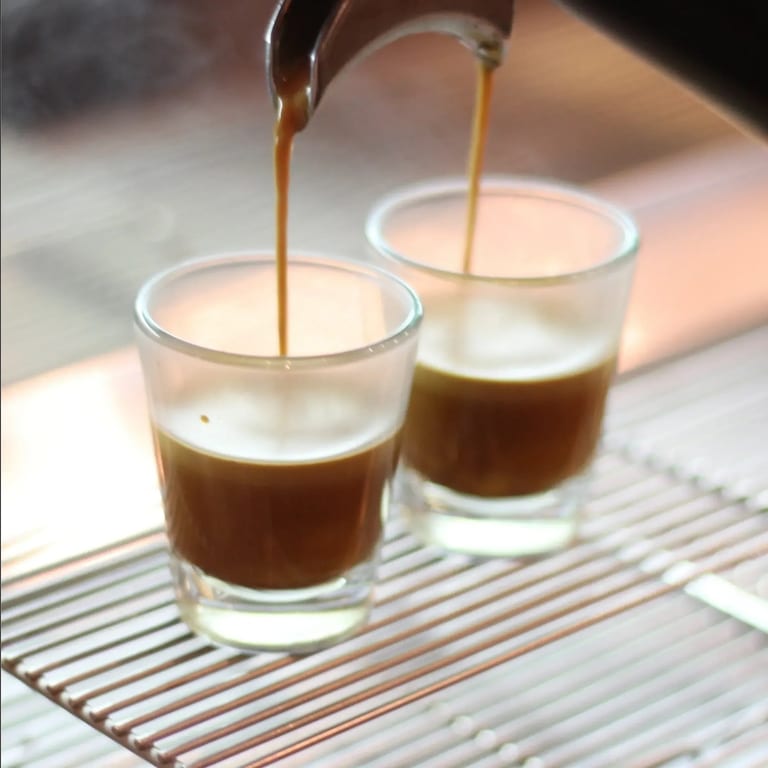 What We Offer and Why People Visit